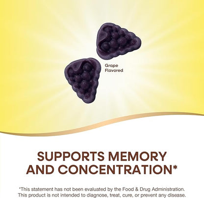 Nature’s Way Brain Fuel, Supports Memory and Concentration*, Brain Function Support Supplement*, Clinically Studied Cognigrape®, Grape Flavored, 60 Gummies
