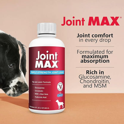 Liquid for Dogs – Glucosamine Chondroitin MSM Hip & Joint Supplement Liquid with Organic Turmeric – All-Natural Dog Joint Support Oil for Mobility, Arthritis, Skin & Coat – 32 fl oz