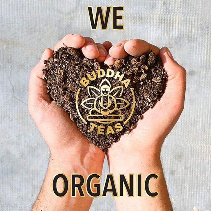 Buddha Teas Organic Maca Tea - OU Kosher, USDA Organic, CCOF, 18 Bleach-Free Tea Bag