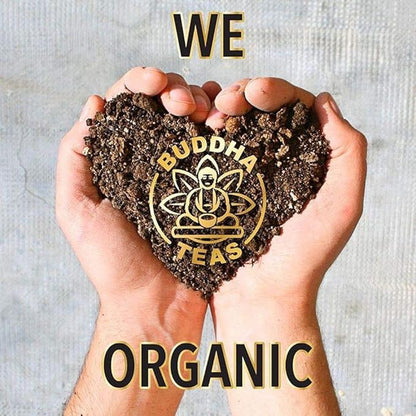 Buddha Teas Organic Maca Tea - OU Kosher, USDA Organic, CCOF, 18 Bleach-Free Tea Bag