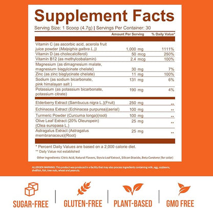 GOBIOTIX Vitamin C - Immune Defense Support Supplement - Immunity Powder Wellness Booster - Vegan Superfood - Elderberry, Turmeric, B12 Vitamin Supplement, Non-GMO and Sugar Free (Orange)