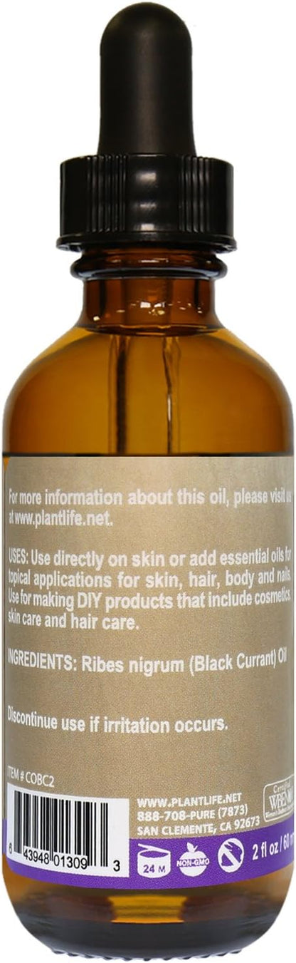 Plantlife Black Currant Carrier Oil - Cold Pressed, Non-GMO, and Gluten Free Carrier Oils - for Skin, Hair, and Personal Care - 2 oz