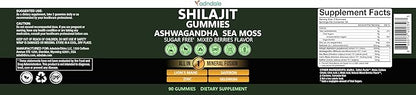 Adndale Himalayan Natural Shilajit Gummies for Men & Women, Sugar-Free Mixed Berries Flavor - with Ashwagandha, Sea Moss, Lion’s Mane & Saffron + Zinc & Selenium - 90 Gummies (45 Servings)