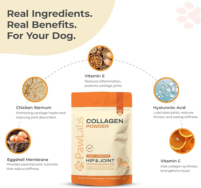 PawLabs Collagen Powder for Dogs - Collagen Type II from Chicken Sternum, Eggshell Membrane, Hyaluronic Acid, Vitamin E & C - Joint Health & Cartilage Support
