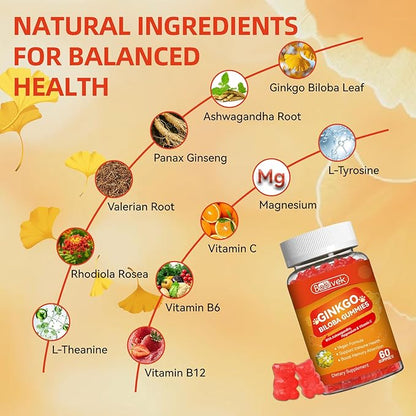 2 Pack Ginkgo Biloba Gummies with Ashwagandha, Vitamin C & Magnesium - Vegan, Non-GMO, Gluten-Free - Raspberry Flavor, 120 Count