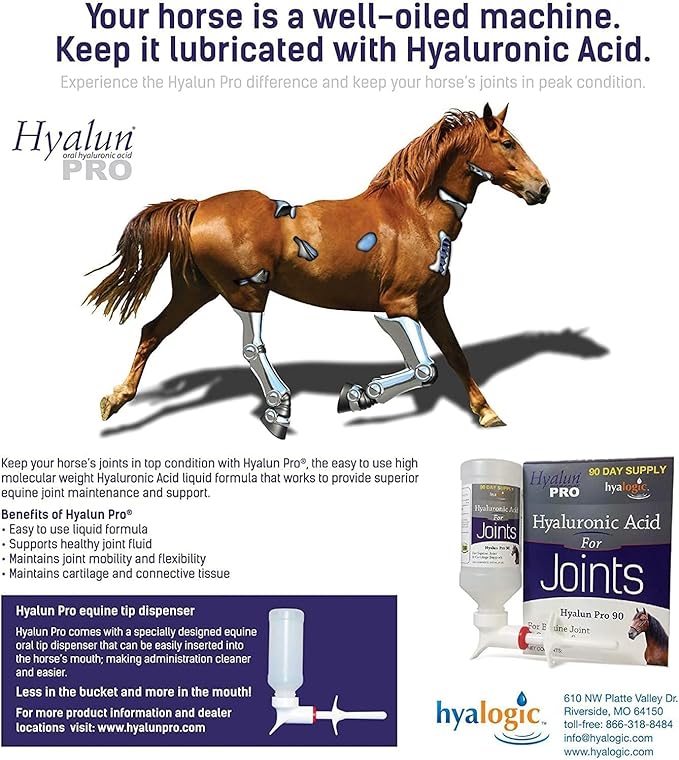Hyalogic Hyalun Pro 30 - Hyaluronic Acid Joint Support Supplement for Horses – Horse Care Solution with Easy-to-Use Oral Dispenser – Supports Healthy Joints & Cartilage - 30-Day Supply (3oz / 90ml)