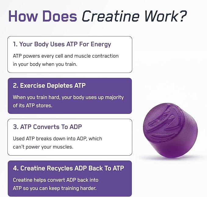 SteelFit Creapure Creatine Monohydrate Gummies for Men & Women, Concord Grape - Gym Workout Nutritional Supplements for Muscle Gain, Brain Health & Strength Building Dietary Supplement, 120 Gummies