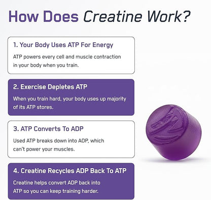 SteelFit Creapure Creatine Monohydrate Gummies for Men & Women, Concord Grape - Gym Workout Nutritional Supplements for Muscle Gain, Brain Health & Strength Building Dietary Supplement, 120 Gummies