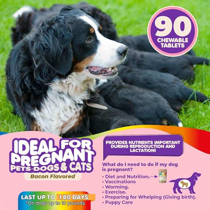 Dog Prenatal Vitamins – Multivitamin, Folic Acid, Calcium, Iron, Minerals and Amino Acids. Ideal for Pregnant, Breastfeeding and Newborn Pets – Senior Dog Supplement, Complete Puppy Multi Vitamin.