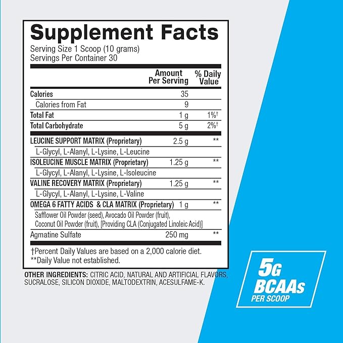 BPI Sports Best BCAA Powder - Muscle Recovery Support - Branched Chain Amino Acids | Building Blocks of Protein and Muscle - Post Workout Recovery – Hydration - Fruit Punch, 30 Servings