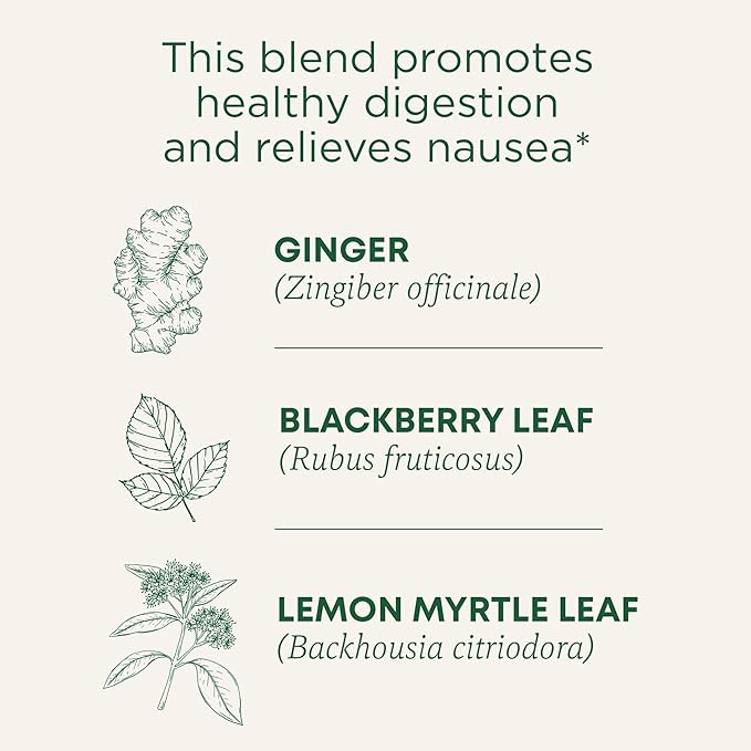 Traditional Medicinals Tea, Organic Ginger Aid, Promotes Healthy Digestion, 16 Tea Bags
