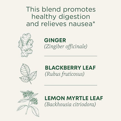 Traditional Medicinals Tea, Organic Ginger Aid, Promotes Healthy Digestion, 16 Tea Bags