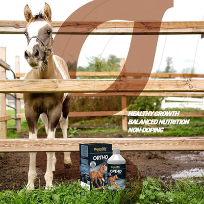 Organnact Ortho Foals - Foal Growth and Development Supplement - Supports Bone, Tendon, and Cartilage Health - Non-Doping, Highly Palatable - 16.9 Fl Oz