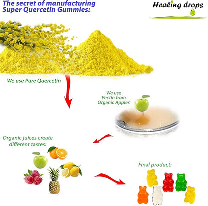 Quercetin with Bromelain Gummies - Vitamin C + Zinc + Vitamin D3 - Quercetin 500mg Gummies for Kids and Adults (2 Packs)