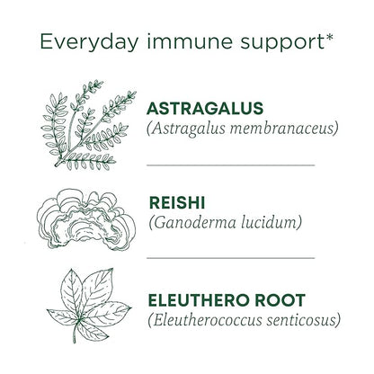 Traditional Medicinals Organic, Stress Ease Immune with Adaptogens, Reishi Warming Spice - Immune Support with Astragalus - Kosher, Non-GMO, Caffeine-Free, Compostable - 16 Tea Bags