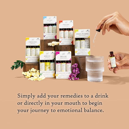 Bach Original Flower Remedies, Emotional Ups & Downs Trio Kit, for Mental Energy (Non-Alcohol Formula), Natural Homeopathic Flower Essence, Vegan, 3 x 10mL Droppers