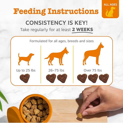 Zesty Paws Probiotics for Dogs, Digestive Enzymes Gut Flora, Digestive Health, Diarrhea & Bowel Support, DE111, Dog Probiotic Soft Chew for Pet Immune System, Pumpkin, 250 Ct (Pack of 2)