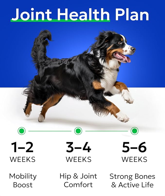 BARK&SPARK Glucosamine Chondroitin Dog Hip & Joint Supplement - Joint Pain Relief - Hip & Joint Chews - Joint Support Large & Small Breed - Senior Doggie Vitamin Pills Joint Health (120 Treats)