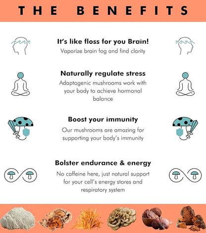 Superfood Mushroom Gummies | Delicious Daily Multi Lions Mane Mushroom Gummy Supplement 2,008 mg | Reishi Mushroom + Cordyceps + Turkey Tail + Chaga + Maitake | Mushroom Gummies for Focus and Energy