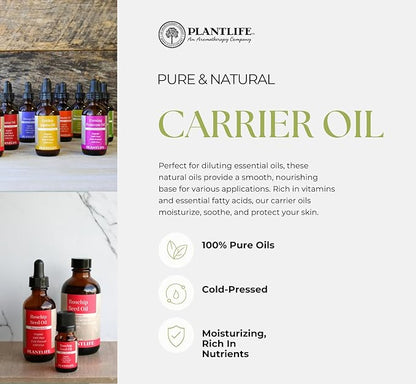 Plantlife Argan Carrier Oil - Cold Pressed, Non-GMO, and Gluten Free Carrier Oils - for Skin, Hair, and Personal Care - 2 oz