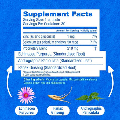 HybridCR Rapid Immunity Supplement | Zinc, Echinacea, Andrographis, Ginseng, Selenium, Gluten-Free & Non-GMO | 5-in-1 Immune Support Supplement | Pharmacist Formulated 2 Month Supply (60 Veggie Caps)
