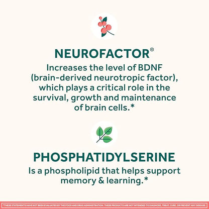 NEURIVA Original Brain Supplement for Memory, Focus & Concentration with Clinically Tested Nootropics Phosphatidylserine and Neurofactor, Strawberry Flavor, 50 Gummies (2 Pack)