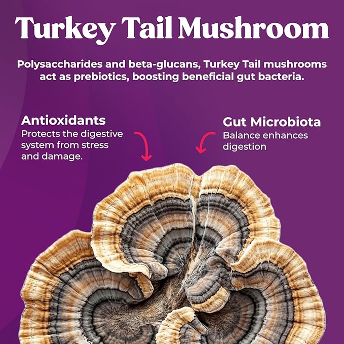 Fungiments Super Prune Kids - Great for Constipation Relief - Mushroom Supplement - Turkey Tail Mushrooms, Fiber, Rhubarb, Prunes, Ginger, Chamomile (30 Mushroom Gummies)