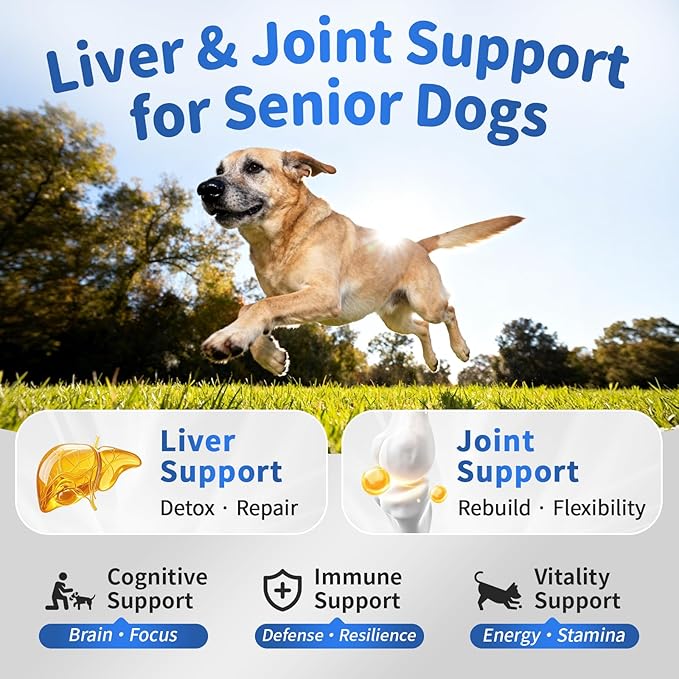 Senior Dog Liver & Joint Supplement – Same, Milk Thistle (Silybin), Glucosamine, MSM for Liver Health Detox, Mobility, Joint Pain Support, Cognitive & Vitality Support, Beef Flavor, 90Ct
