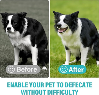 Yeast Infection Treatment for Dogs, Dog Ear Infection Treatment, Prevention & Treatment of Skin & Ear Tract Infections - for Dogs & Cats, 2Fl Oz