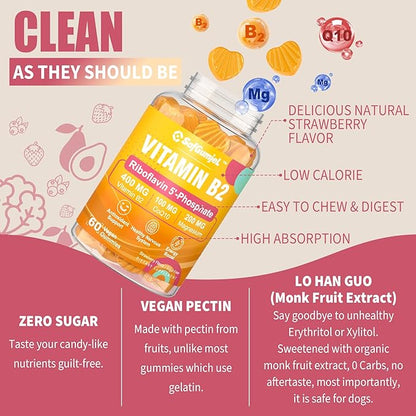 Vitamin B2 Gummies | Riboflavin 400mg for Adults and Kids | with Magnesium & CoQ10 for Energy & Migraine Relief | Sugar Free B2 Vitamin VIT B | Non GMO, Vegan, 120 Count