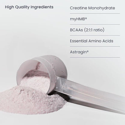 Muscle Health Plus – All-in-One Creatine Monohydrate & Amino Acids Powder with myHMB & AstraGin – BCAA 2:1:1 and Essential Amino Acids Supplement for Strength, Recovery & Lean Muscle, Cherry