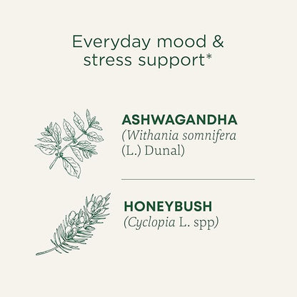 Traditional Medicinals Organic, Stress Ease Calm with Adaptogens, Ashwagandha & Honeybush - Promotes Relaxation - Kosher, Non-GMO, Caffeine-Free, Compostable - 16 Tea Bags