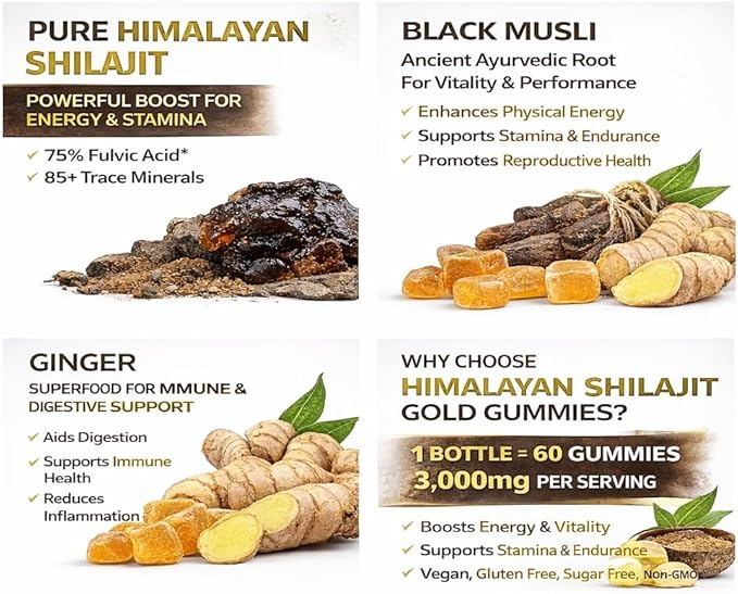 Himalayan Shilajit Gummies – 3000mg Shilajit with Gokshura, Ginger & Black Musli, Fulvic Acid & 85+ Trace Minerals, No Added Sugar, Natural Energy & Stamina Support – 60 Gummies
