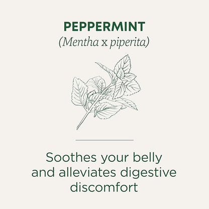 Traditional Medicinals Tea, Organic Peppermint, Soothes Your Belly, Refreshing & Minty, 48 Tea Bags
