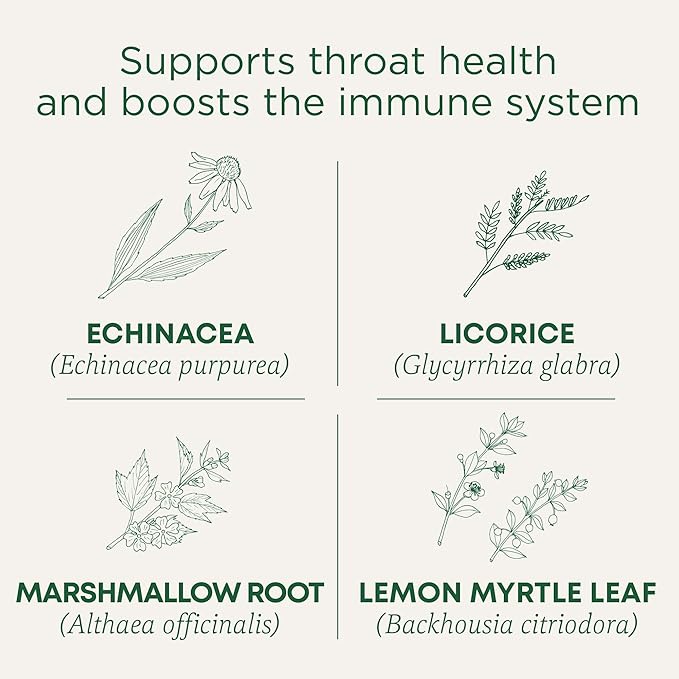 Traditional Medicinals Tea, Organic Throat Coat Lemon Echinacea, Supports Throat Health & Immune Function - Kosher, Non-GMO, Caffeine-Free, Compostable - 96 Tea Bags (3 Pack)