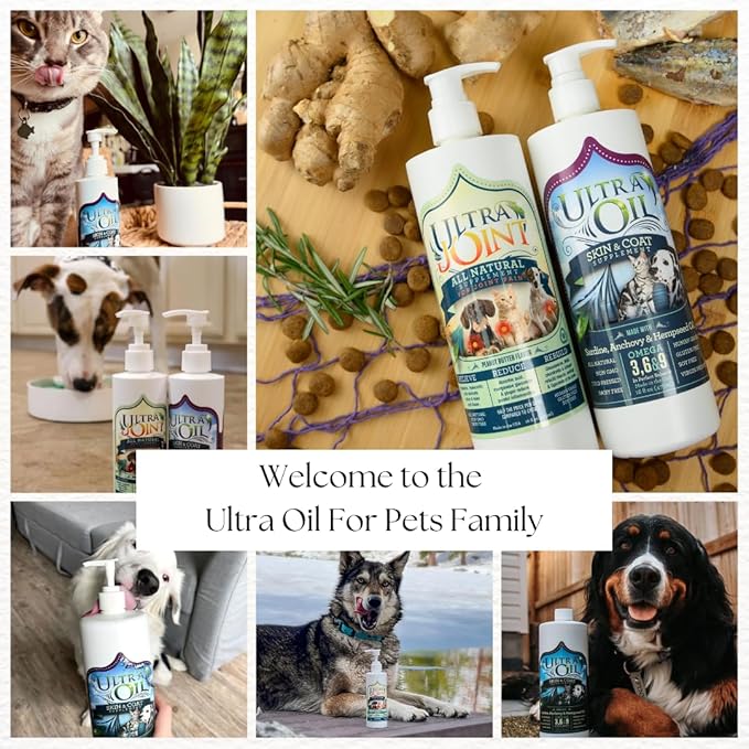 Ultra Joint - Liquid Joint Support Supplement for Dogs with Glucosamine & Chondroitin - Pain Relief from Arthritis & Inflammation (8 oz)