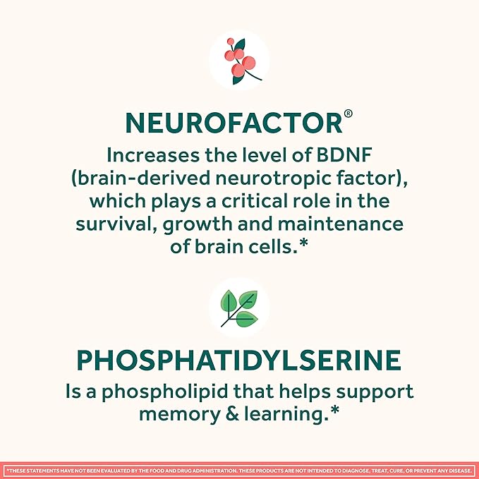 NEURIVA Original Decaffeinated Clinically Tested Nootropic Brain Supplement for Memory,Focus & Concentration,NeuroFactor & Phosphatidylserine,28ct Capsules,(Pack of 2)