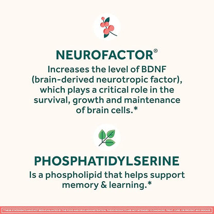 NEURIVA Original Decaffeinated Clinically Tested Nootropic Brain Supplement for Memory,Focus & Concentration,NeuroFactor & Phosphatidylserine,28ct Capsules,(Pack of 2)
