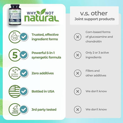 Why Not Natural Glucosamine Chondroitin, MSM, Joint Support Supplements - Knee Pain Joints Health Suppplement