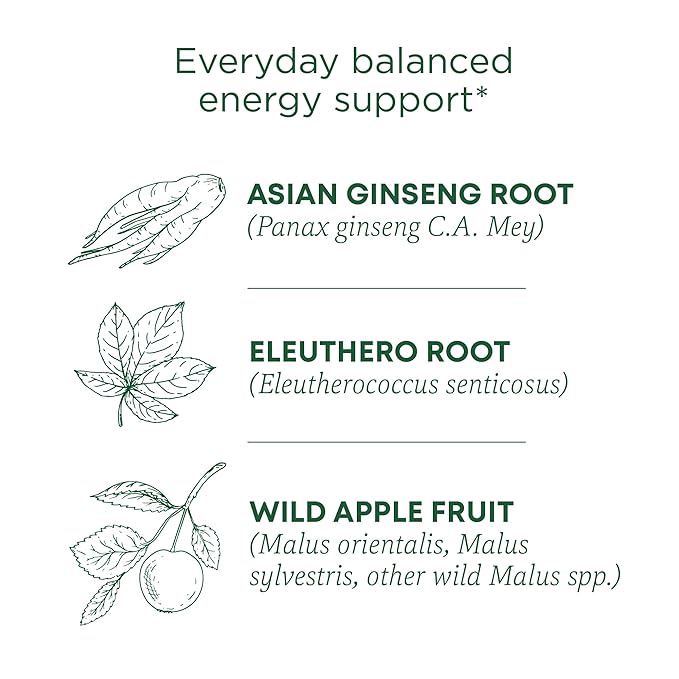 Traditional Medicinals Organic, Stress Ease Focus, Ginseng Wild Apple Mint Tea - Balanced Energy Support & Adaptogens - Kosher, Non-GMO, Caffeine-Free, Compostable - 16 Tea Bags