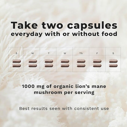 LifeSeasons Essentials Lion's Mane Mushroom - Support Healthy Brain Function & Emotional Balance - Stimulate Nerve & Brain Cell Growth - Mood Enhancer - 1000mg per Serving - 60 Capsules