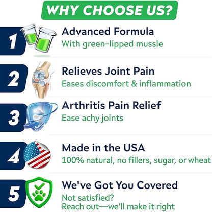 Senior Advanced Glucosamine Joint Supplement for Dogs - Green Lipped Mussel & Collagen - Large Breeds - Hip & Joint Health - Bacon Flavor - 120 Chews