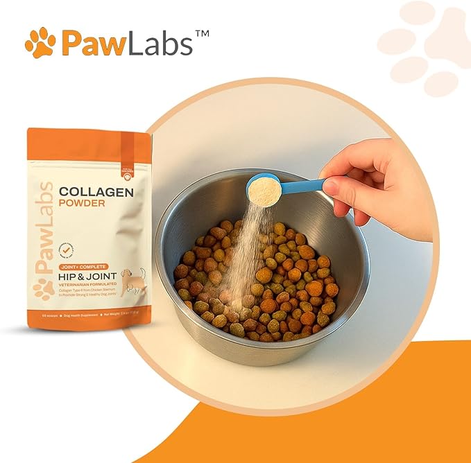 PawLabs Collagen Powder for Dogs - Collagen Type II from Chicken Sternum, Eggshell Membrane, Hyaluronic Acid, Vitamin E & C - Joint Health & Cartilage Support
