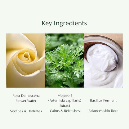 CAELA Feminine Wash Foam Fairgreen, pH-Balanced Intimate Cleanser for Women, Triple Lactobacillus Ferment Complex, Vegan K-Beauty with Green Tea & Mugwort, Sulfate-Free, 5.07 Fl Oz