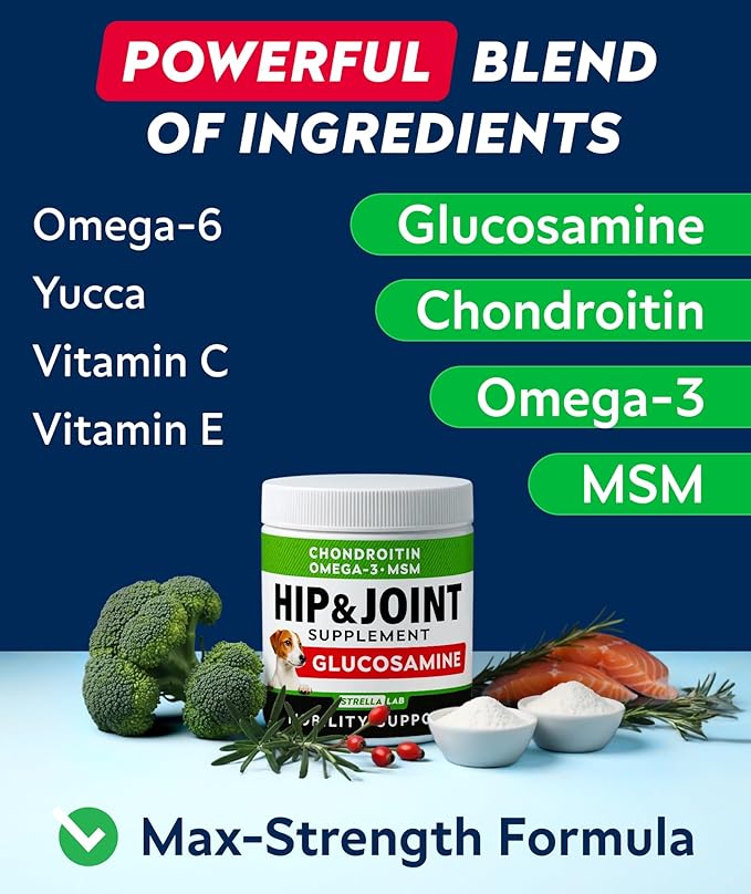 Glucosamine Treats for Dogs - Joint Supplement w/Omega-3 Fish Oil - Chondroitin, MSM - Advanced Mobility Chews - Joint Pain Relief - Hip & Joint Care - Bacon Flavor - 240 Ct - Made in USA