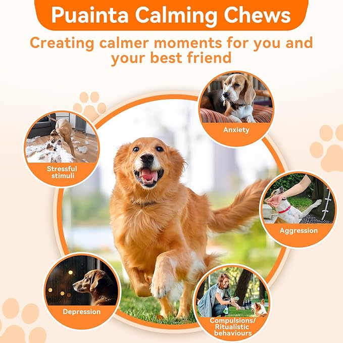 Dog Calming Chews – Magnesium Glycinate & Melatonin for Dogs, 4 Herbal Ingredients for Anxiety Relief, Stress & Travel Support, Chicken Flavor (90 Count)