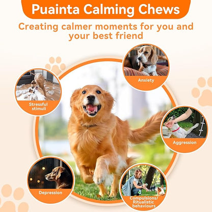 Dog Calming Chews – Magnesium Glycinate & Melatonin for Dogs, 4 Herbal Ingredients for Anxiety Relief, Stress & Travel Support, Chicken Flavor (90 Count)