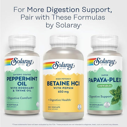 SOLARAY Betaine HCL with Pepsin - High Potency Hydrochloric Acid Formula - Digestive Health Supplement with Digestive Enzymes for Gut Health Support - 60-Day Guarantee, 250 Servings, 250 VegCaps