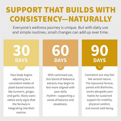 Liposomal Turmeric - High-Absorption Curcumin Supplements, Non-GMO Blend for Digestive Comfort & Daily Support - Organic Turmeric Supplement with Black Pepper (120ct, Pack of 3)