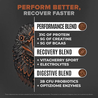 Birdman Falcon Performance Vegan Protein Powder, 31g Protein, 5g Creatine, 5g BCAA, Probiotics, Electrolytes, Pre Workout, Low Carb, Sugar Free & Dairy Free, Plant Based Chocolate Protein -47 servings